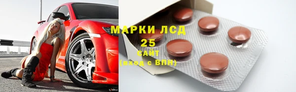 крисы Алзамай