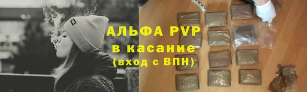 крисы Алзамай
