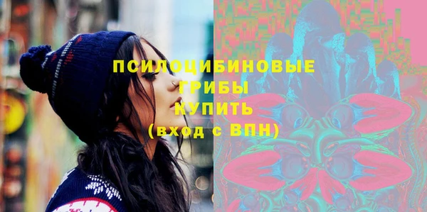 крисы Алзамай