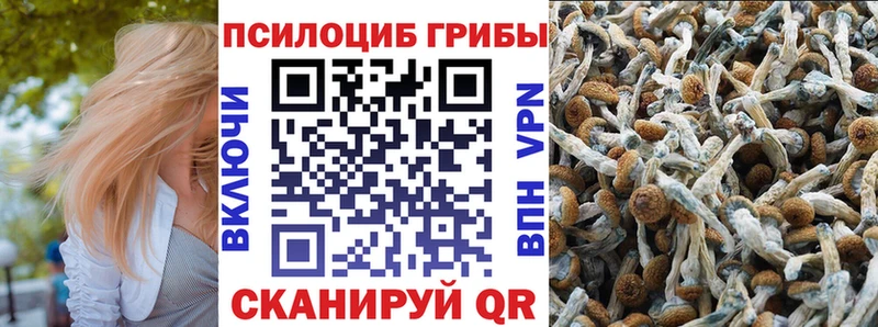 Галлюциногенные грибы Cubensis  Коряжма 